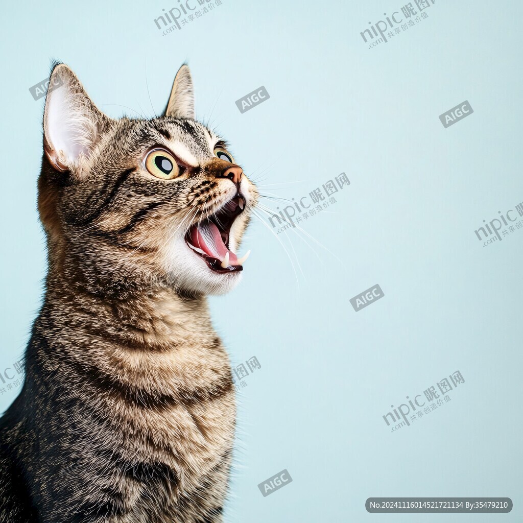 张嘴的猫咪