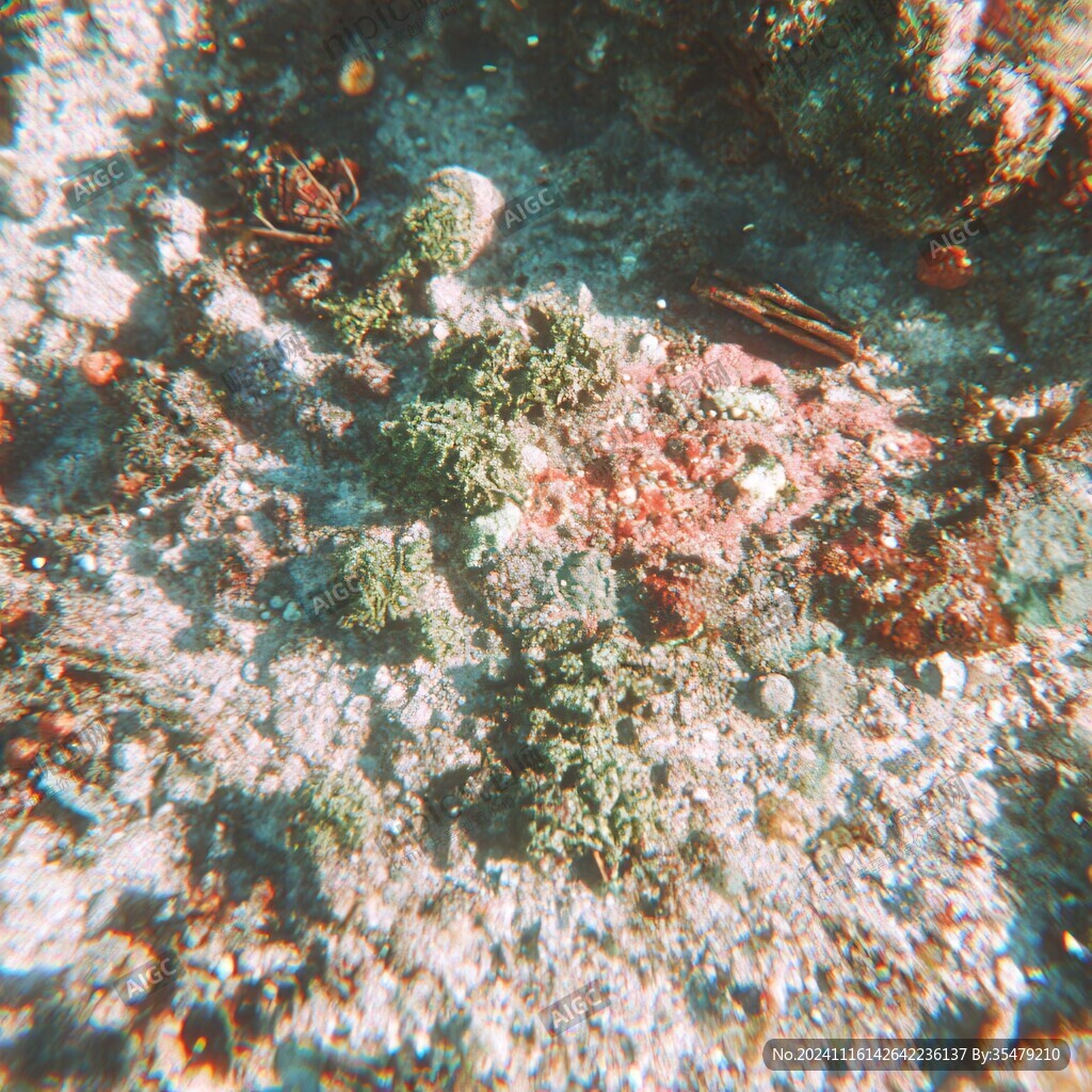海底逛逛