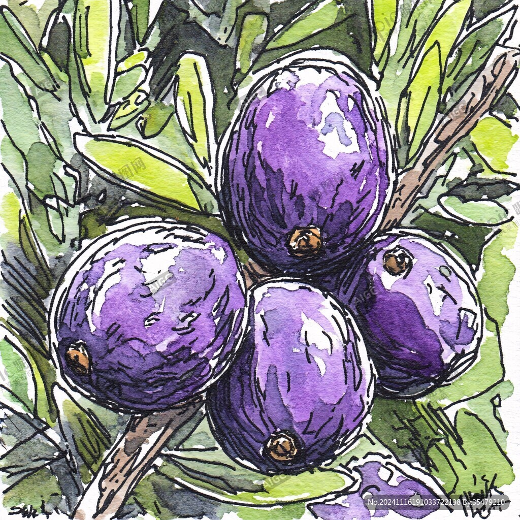 紫薯球插画