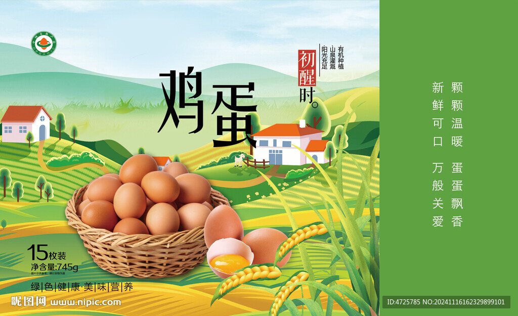 鸡蛋包装 