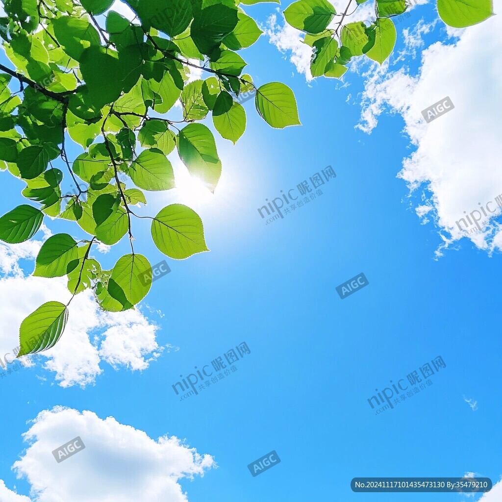 光线素材蓝天绿叶