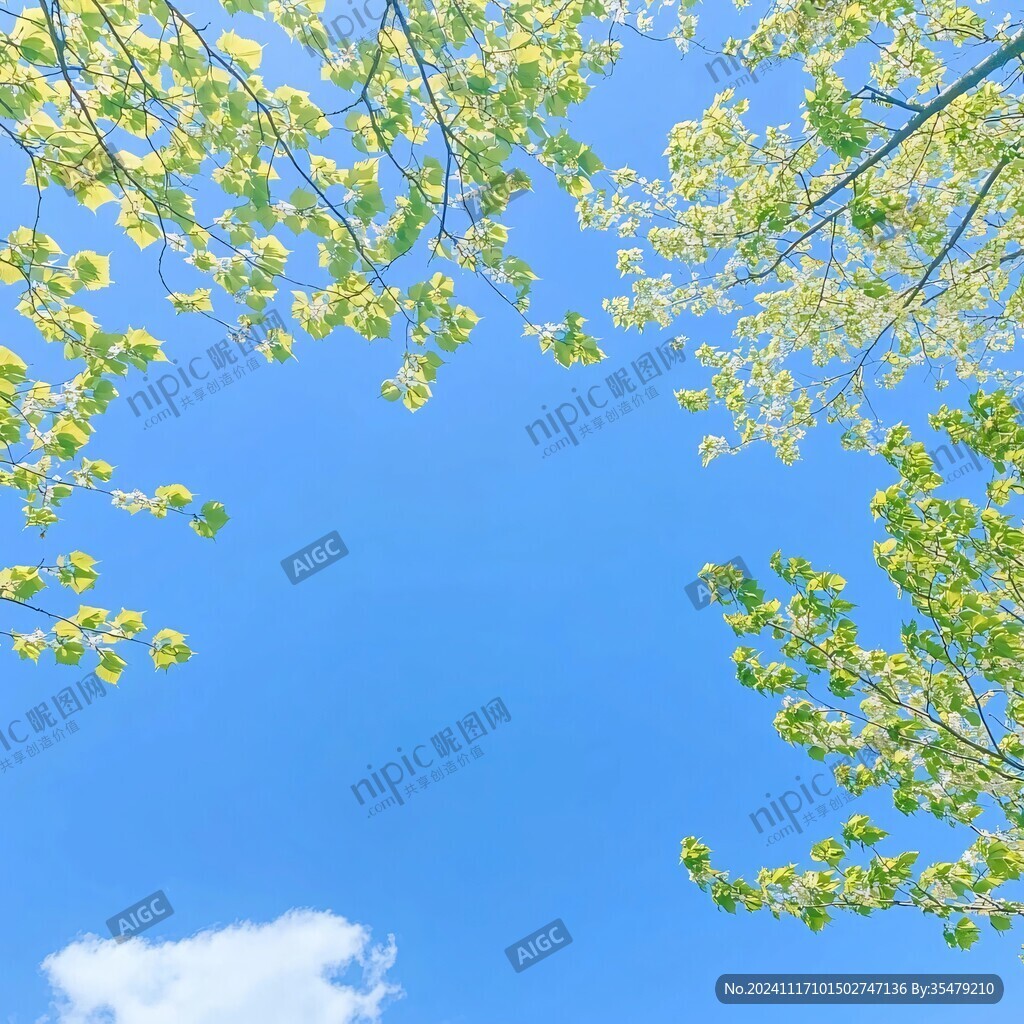 天空春色仰拍春色