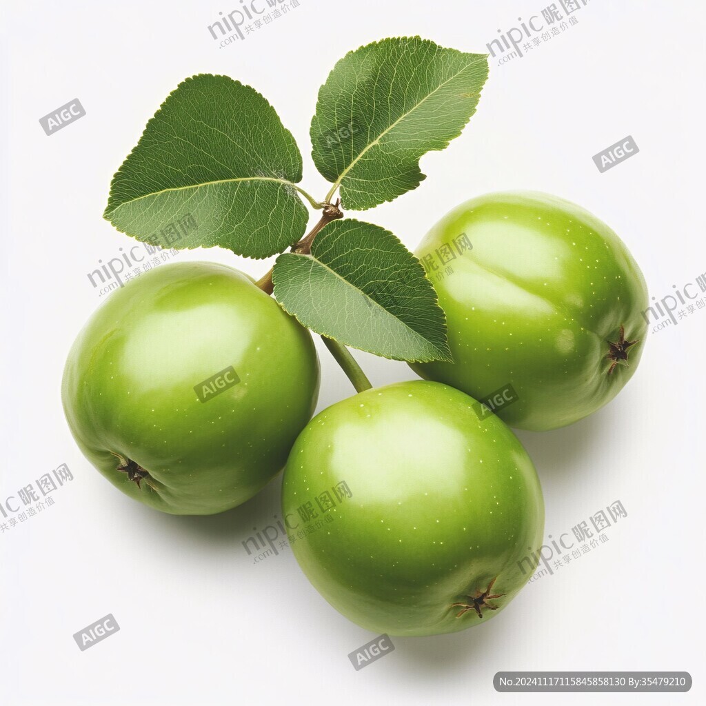 青枣手绘素材