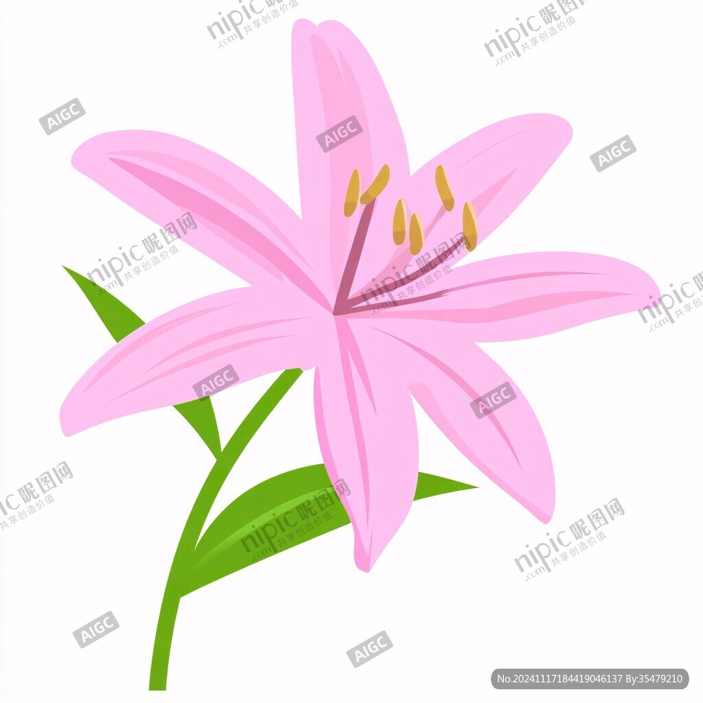 手绘粉色百合花
