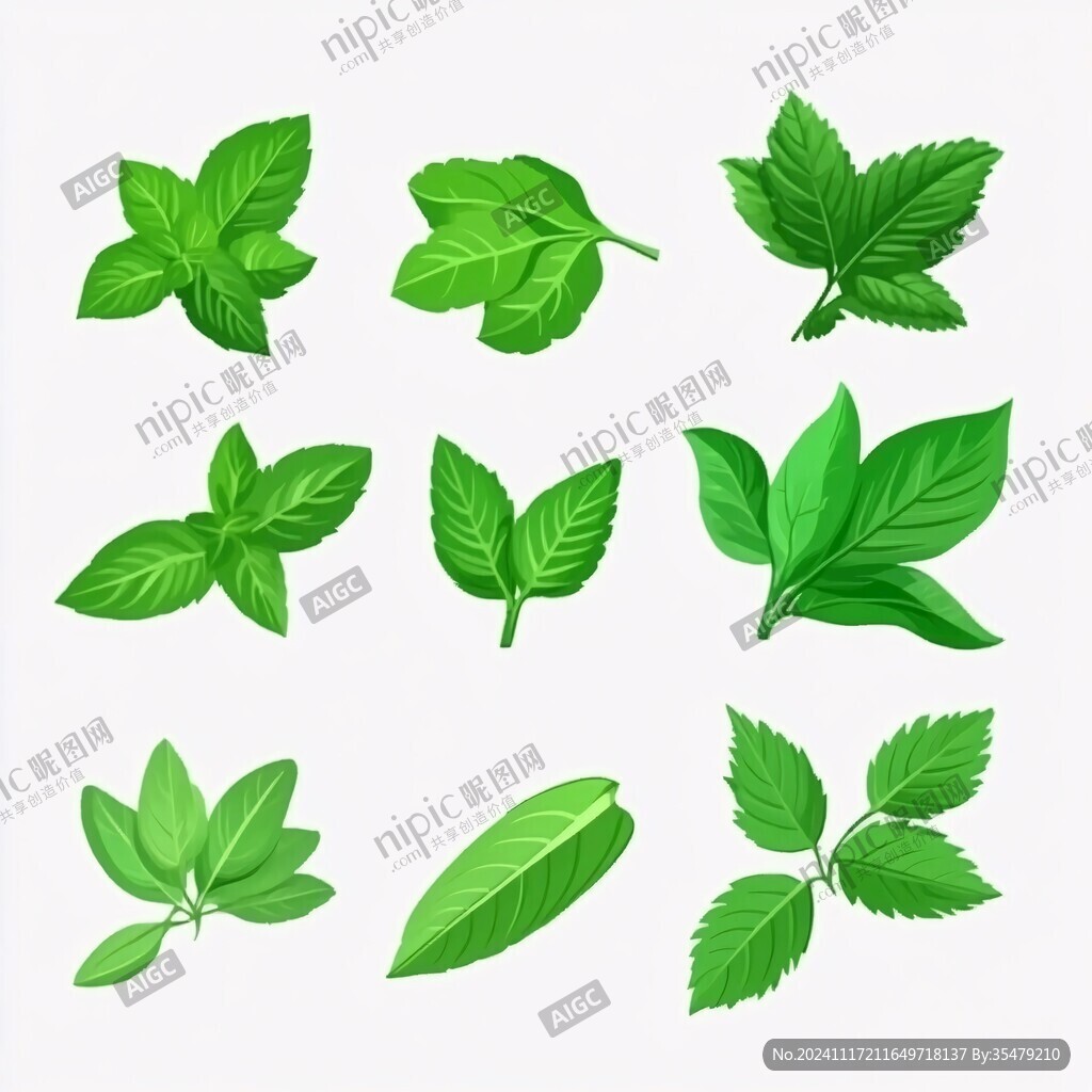 薄荷叶设计素材