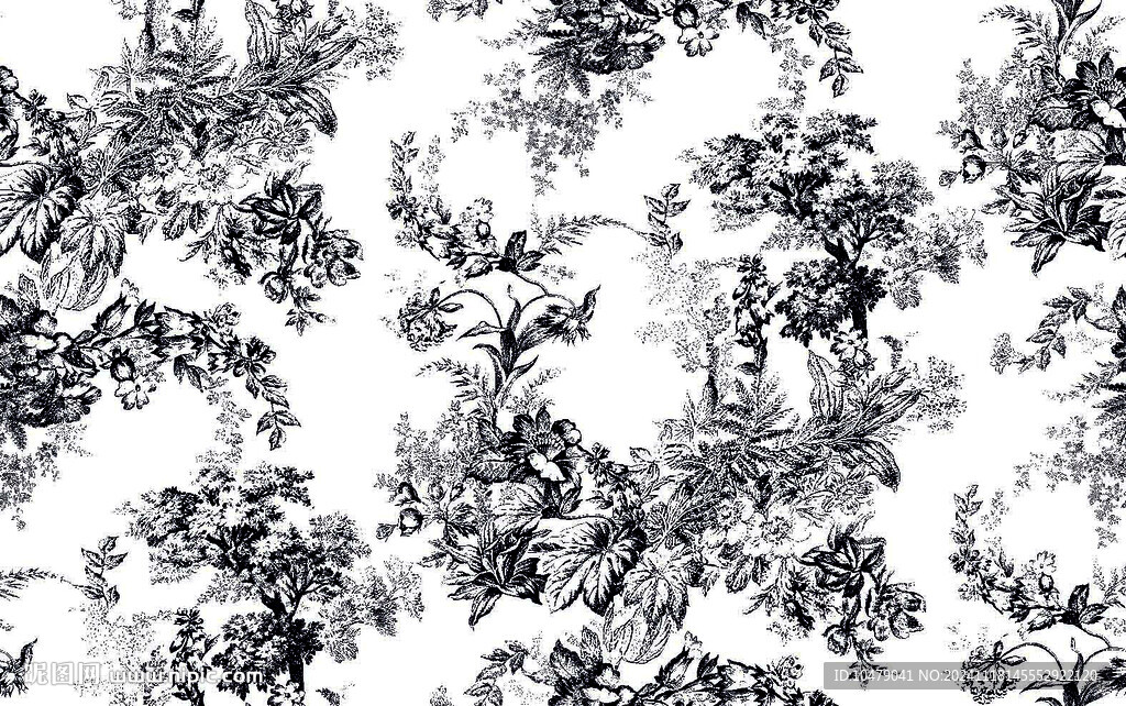 黑白花