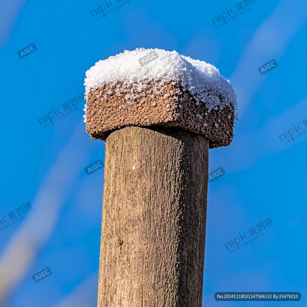老枝杆积雪