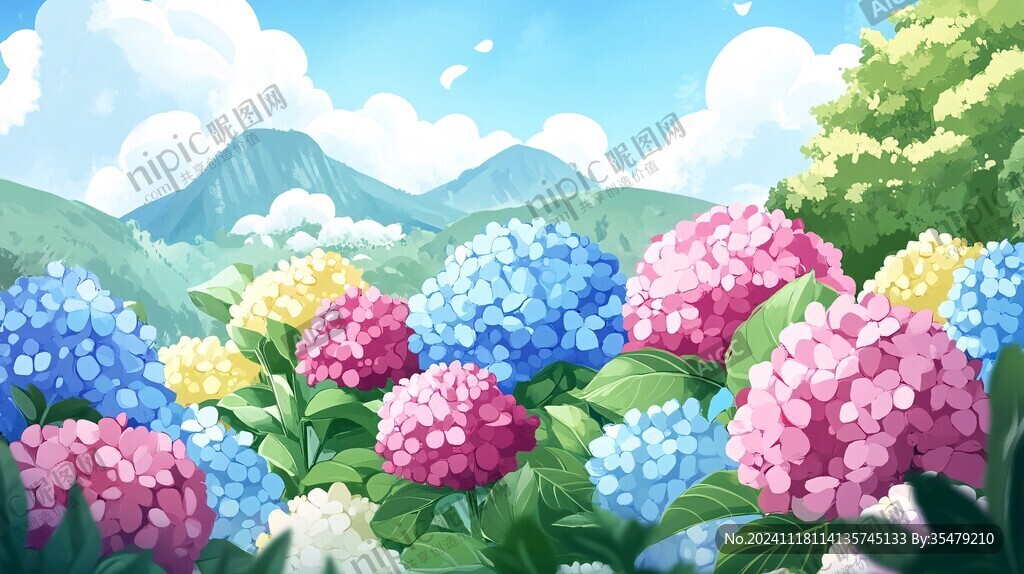 绣球插画