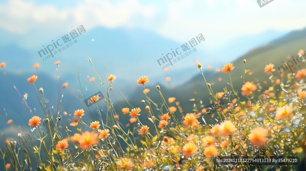 山岭黄花