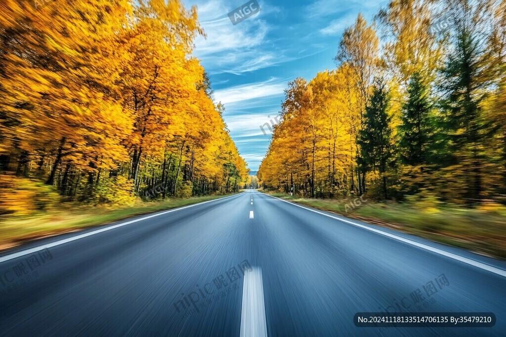 林区道路秋景图片下载