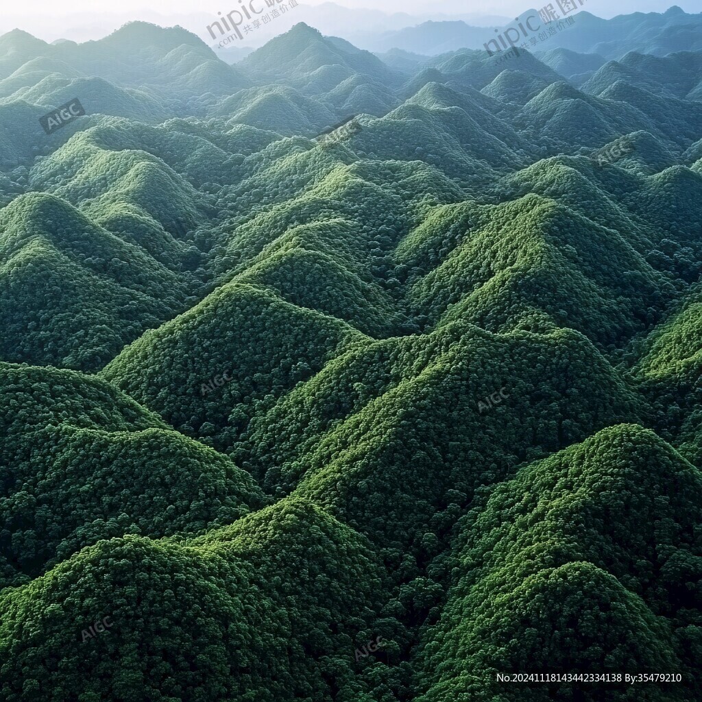 航拍百里竹海