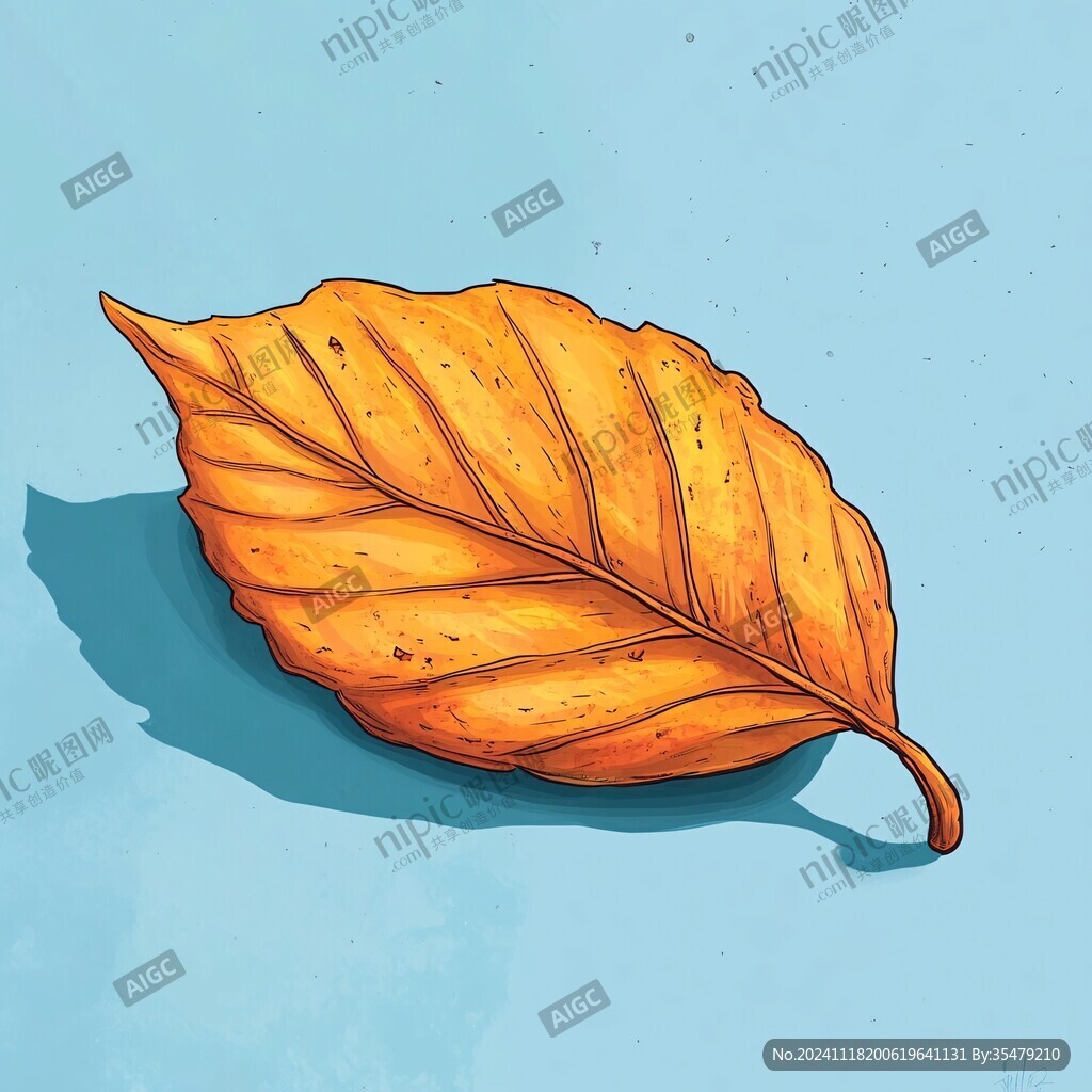 梧桐叶插画