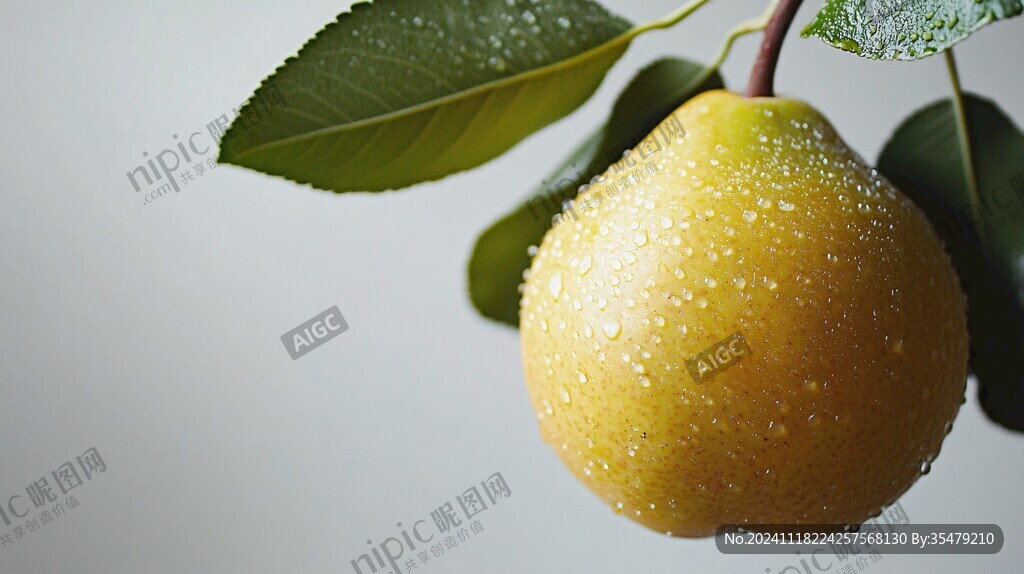 水珠梨