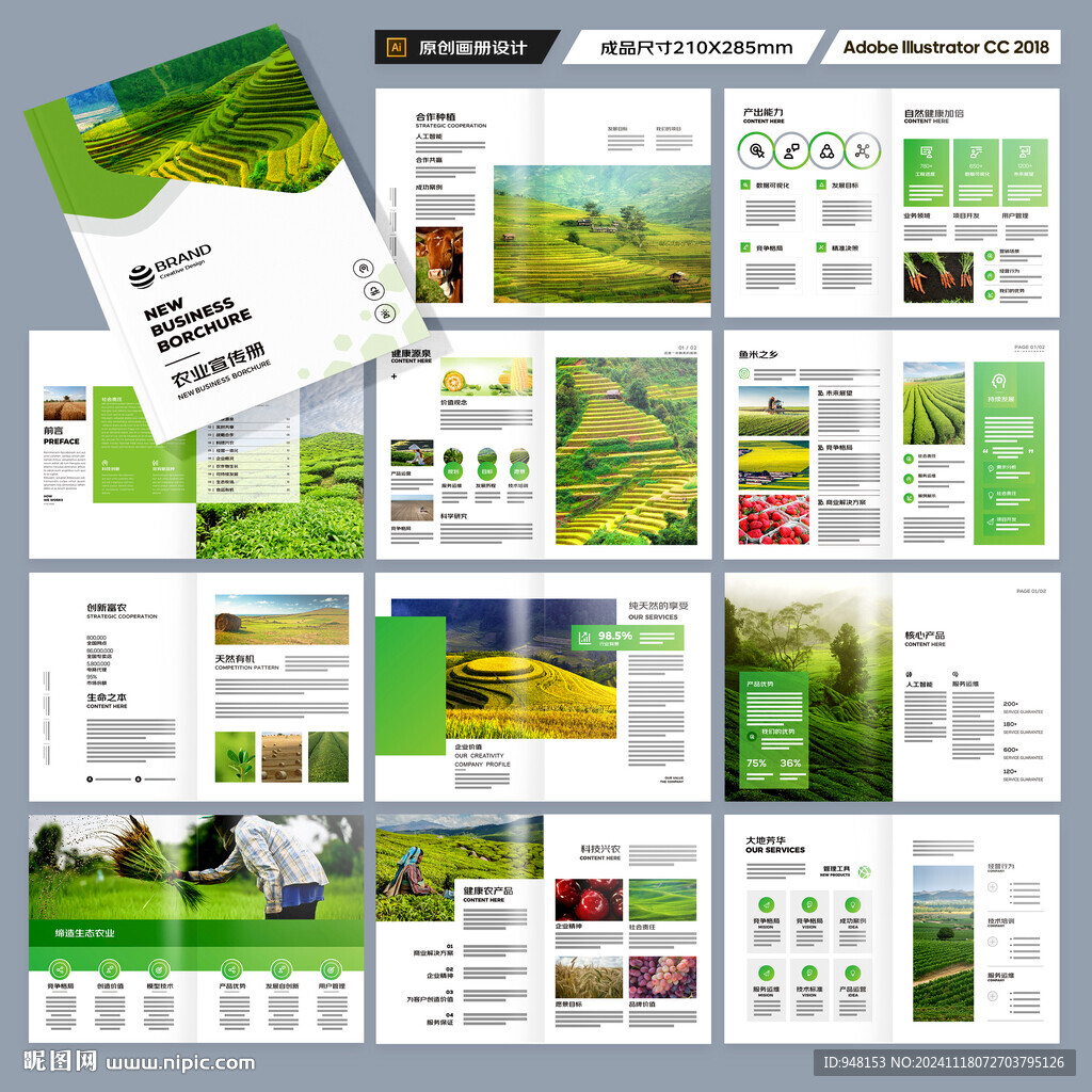 农产品宣传册