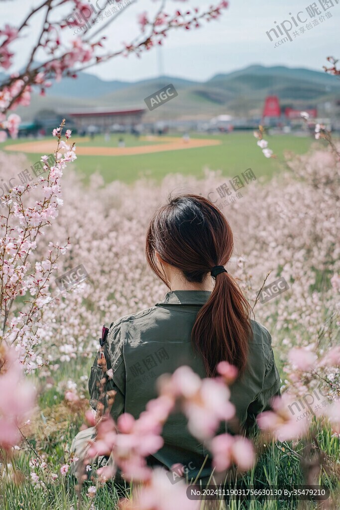 花海背影