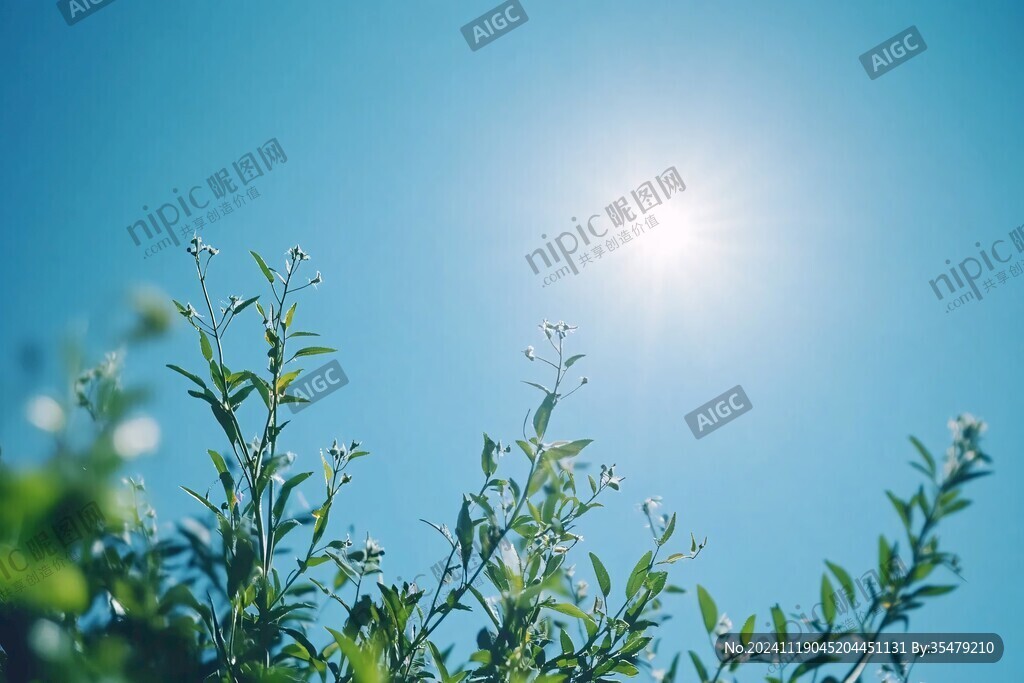 绿色树叶阳光蓝天