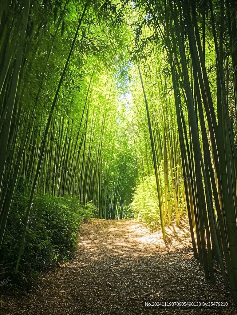 竹林小路图片素材下载