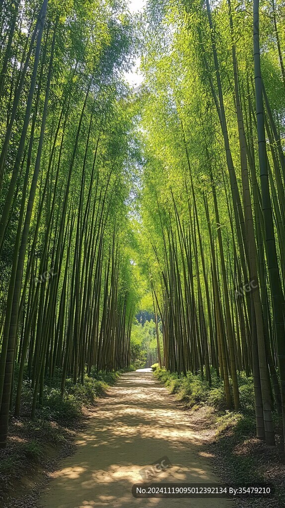 竹林小路图片素材下载