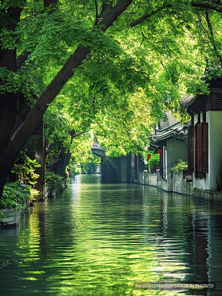 绿叶江南水乡