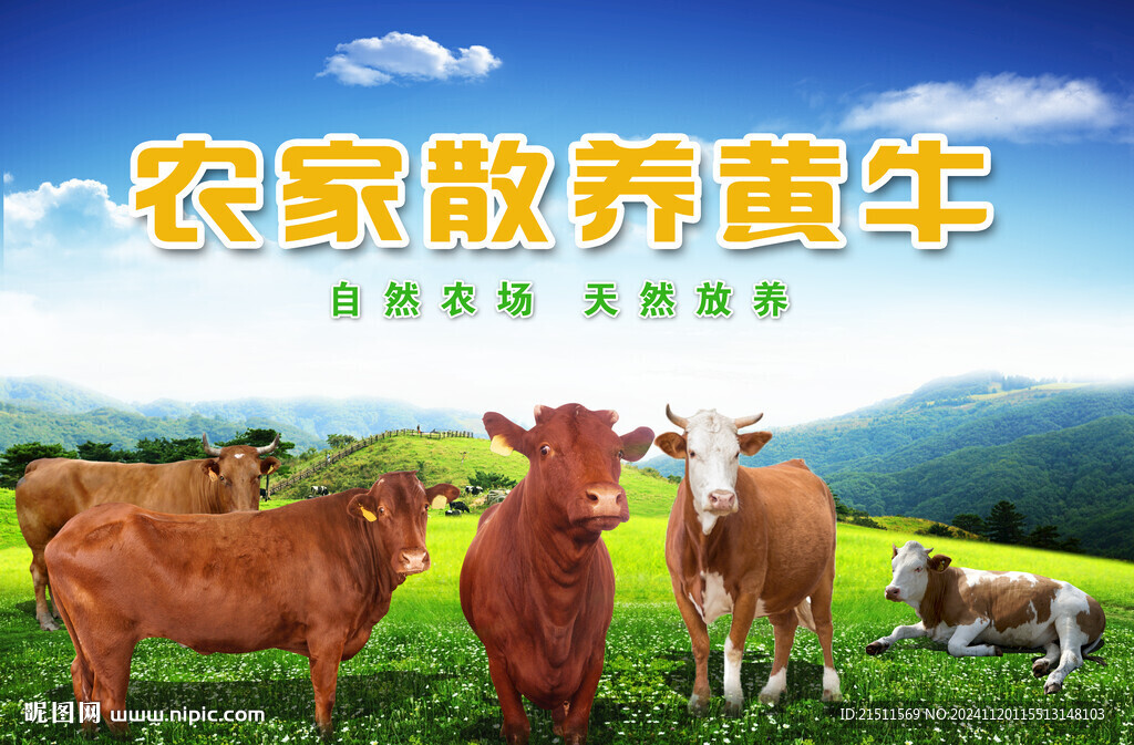 黄牛