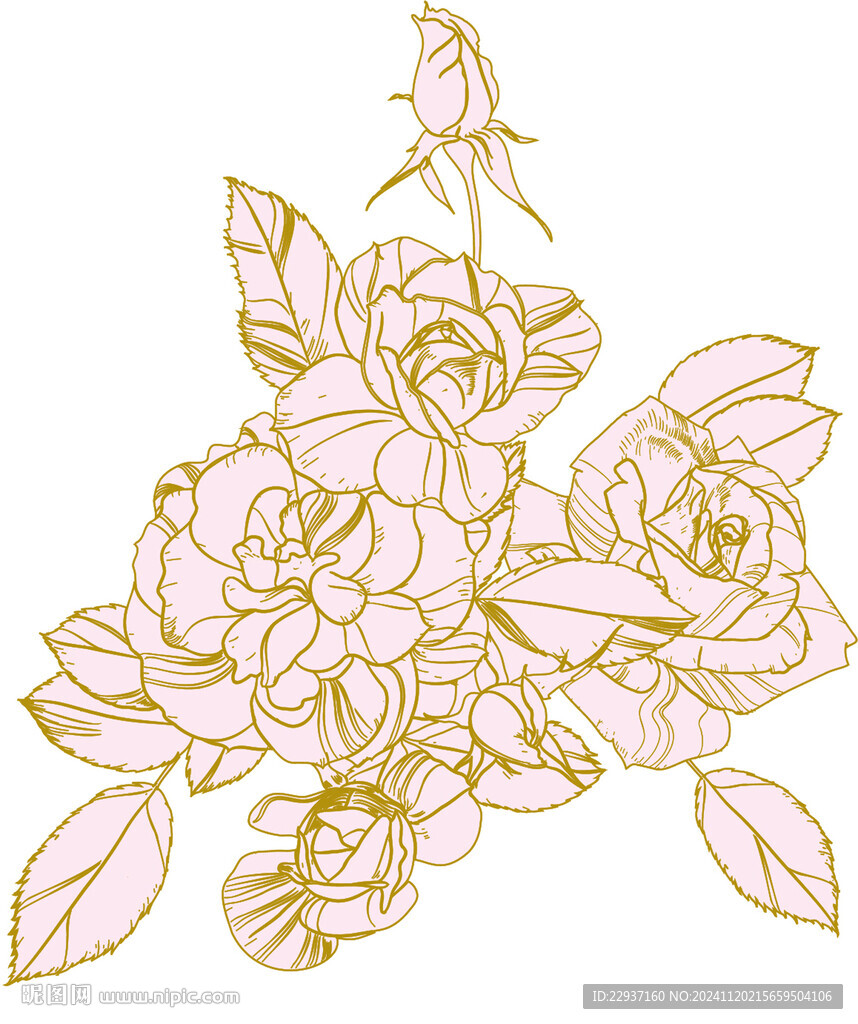 矢量玫瑰花