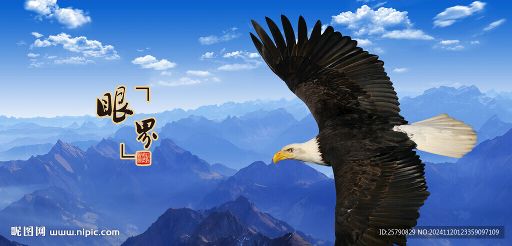 鹰飞鹰雄鹰