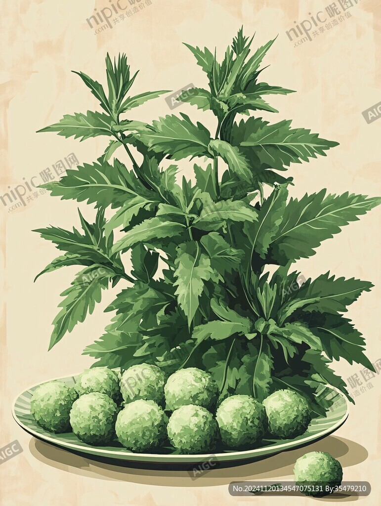艾草插画