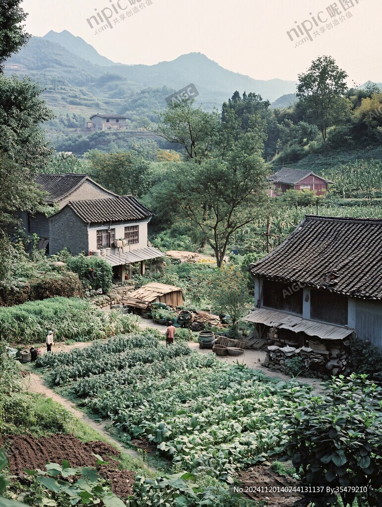 山村菜地