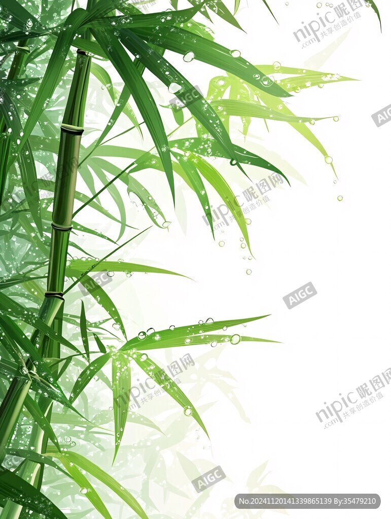 高清唯美翠竹