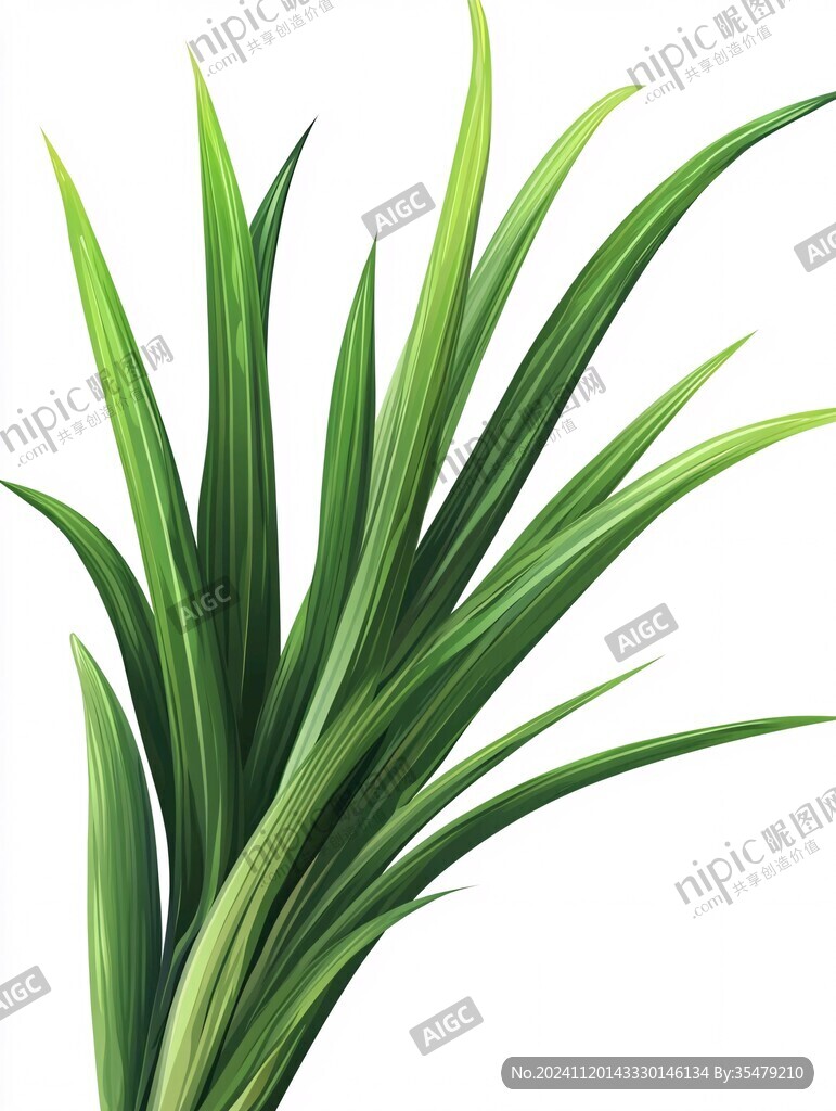 小草素材下载
