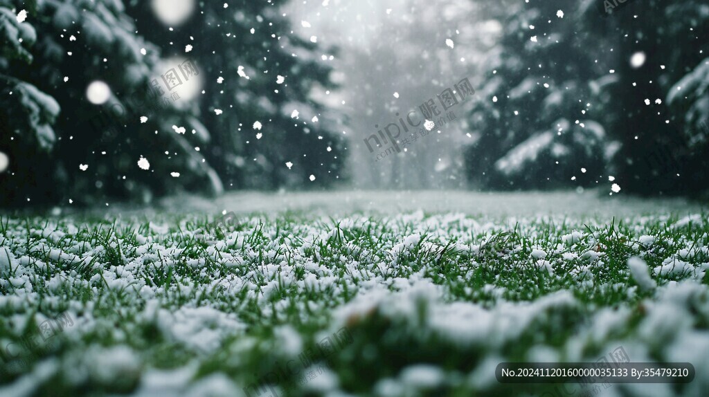 雪花落在草地上