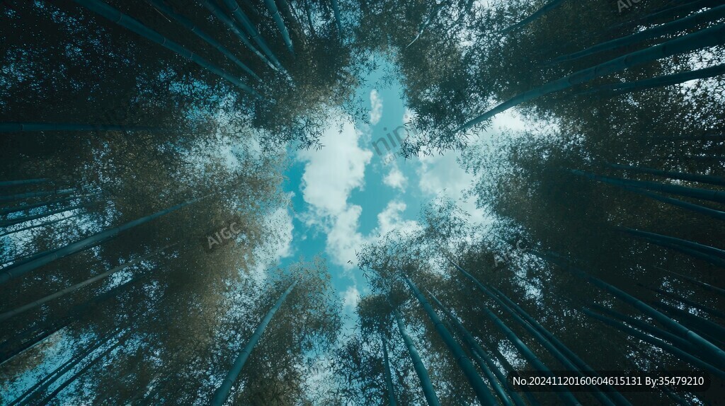 仰望竹林素材