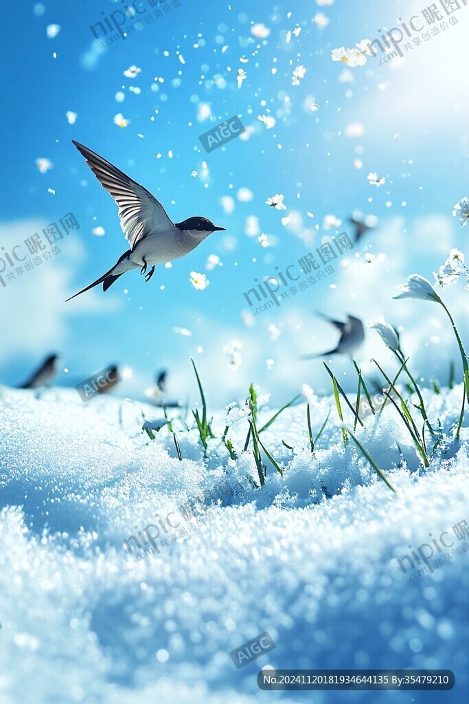 雪天飞鸟