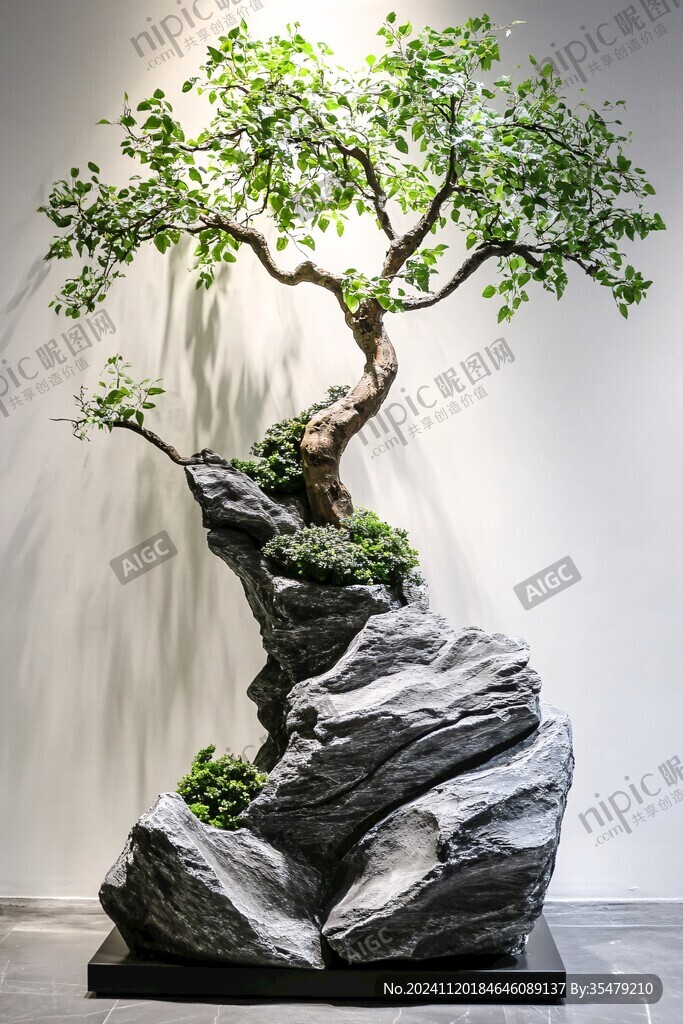 抱石盆景
