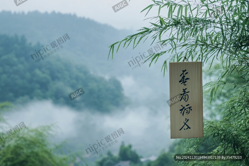 云雾里的竹海