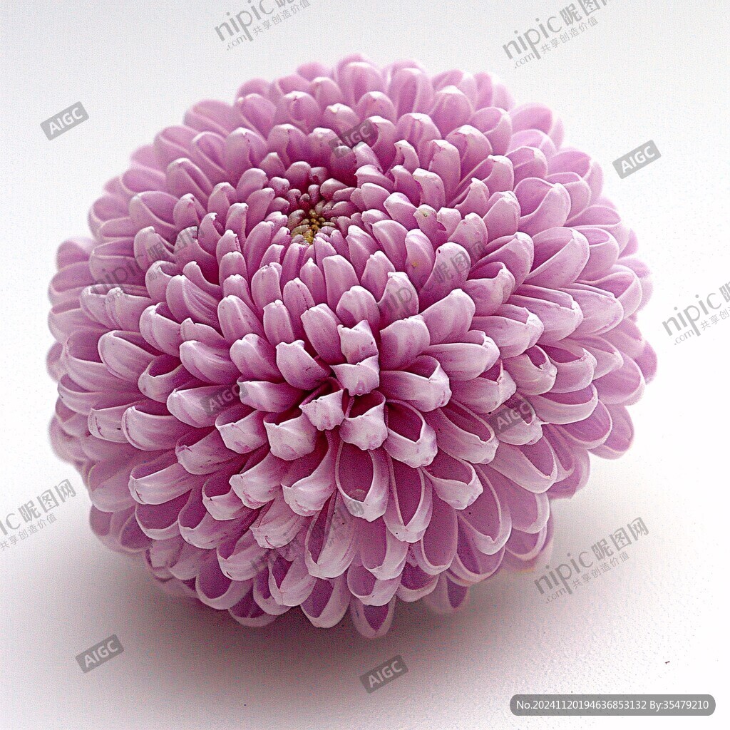 3d立体花