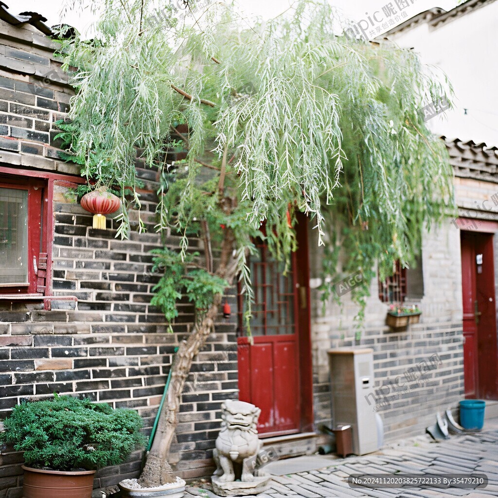 古街绿化