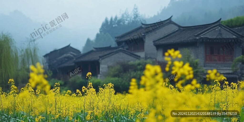 仿古建筑与油菜花