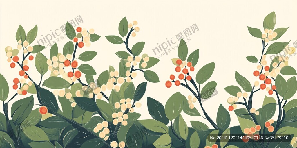 火棘插画