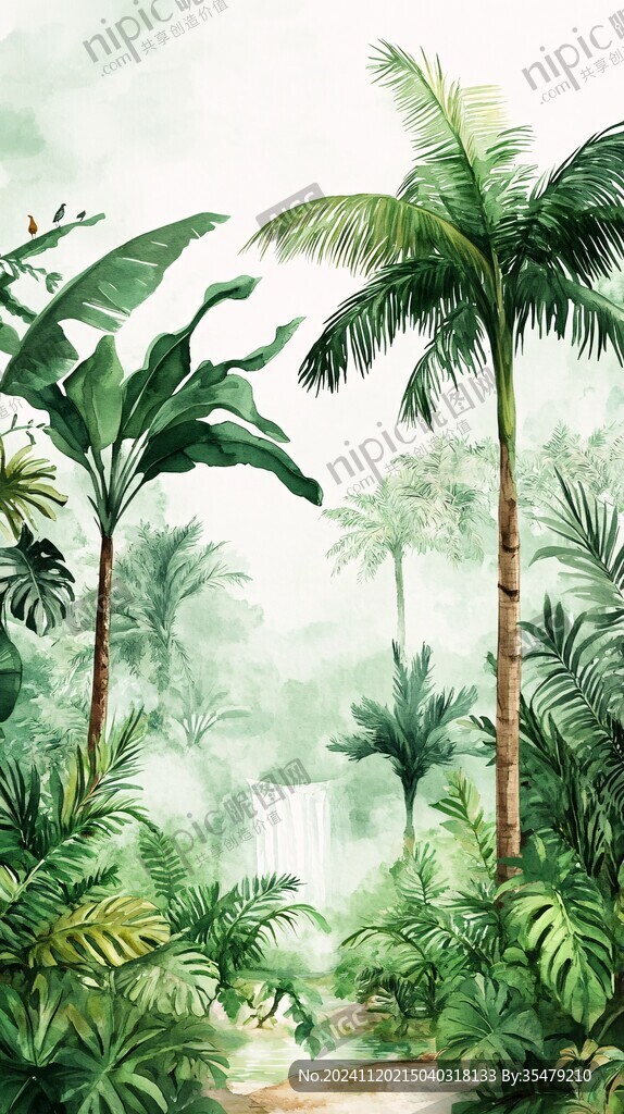 热带雨林插画