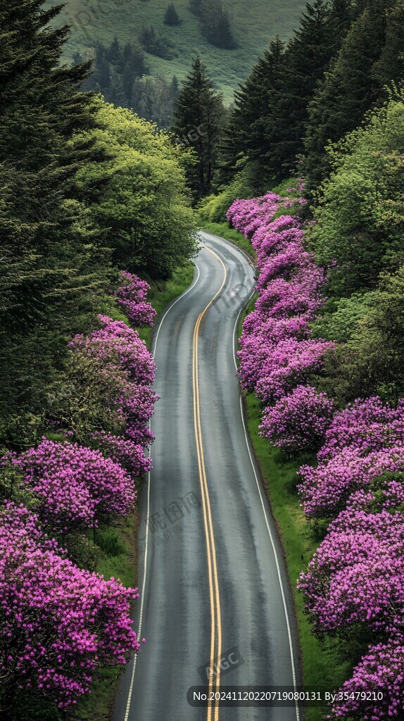 花间蜿蜒小路