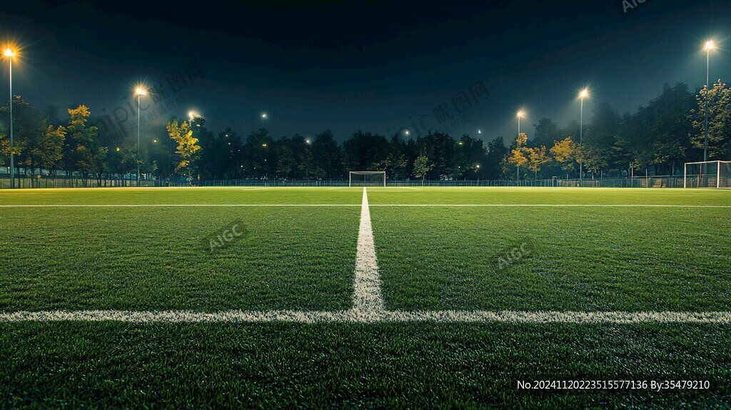 足球场夜色全景