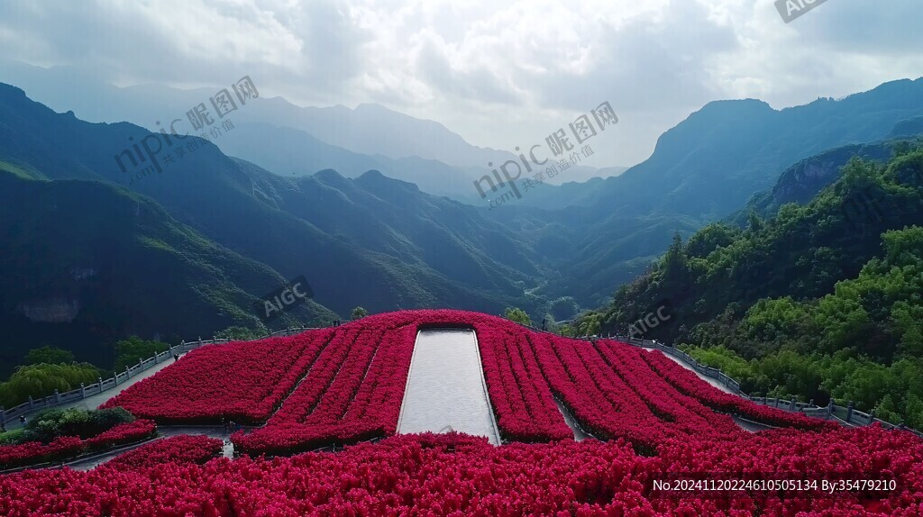 映山红花海
