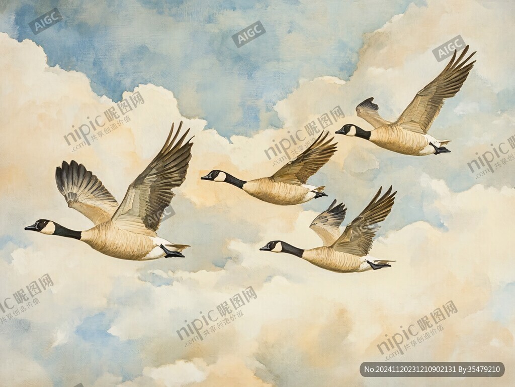 鸿雁插画