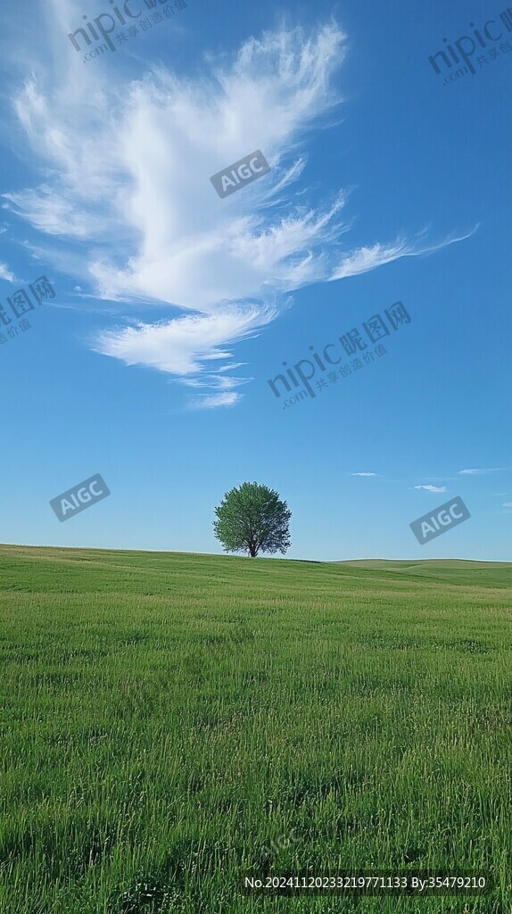 草原一棵树