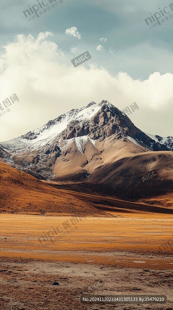 雪山草地荒漠
