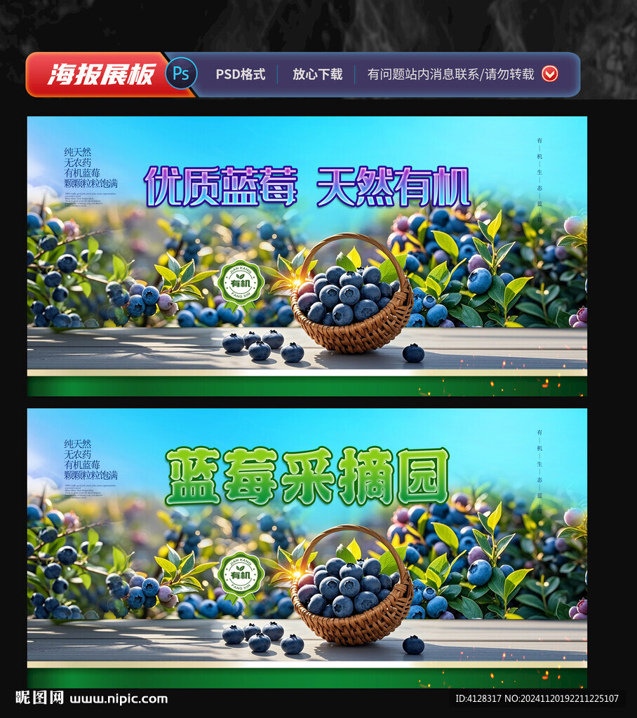 蓝莓