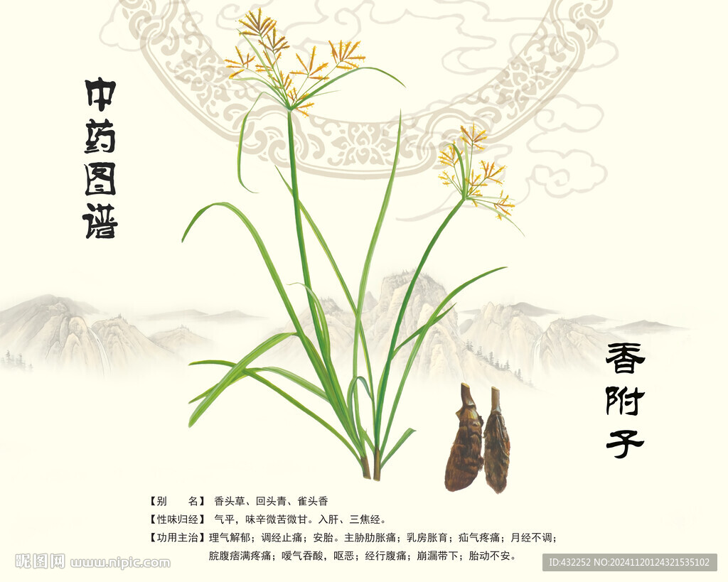 附子香附子