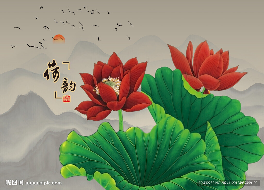 荷花