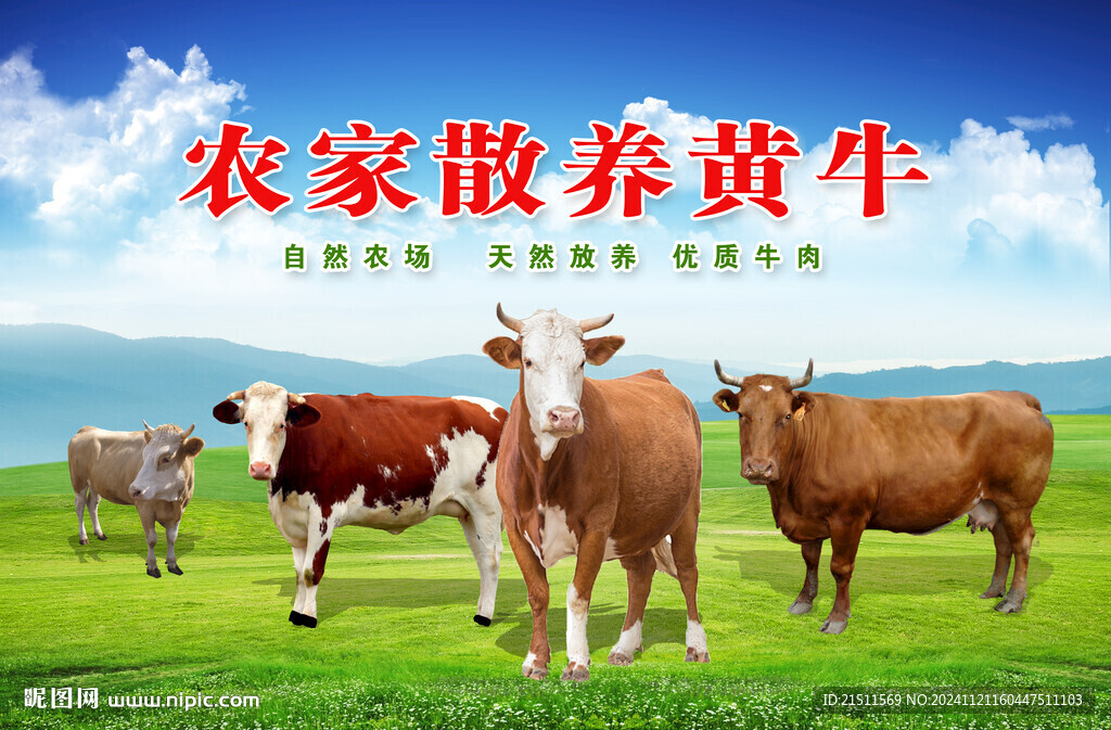 黄牛
